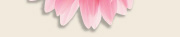 ヘッダー下