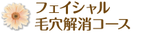 フェイシャル