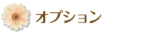 オプション